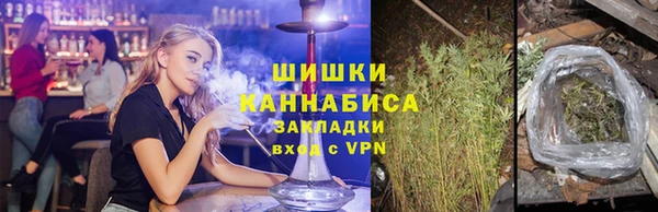 соль ск Козельск
