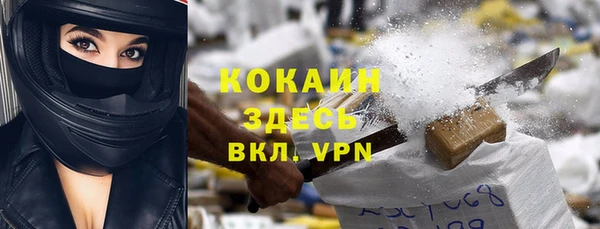 соль ск Козельск