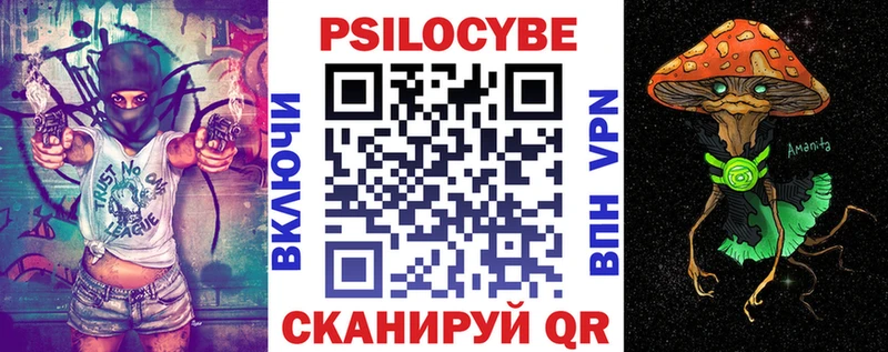 Псилоцибиновые грибы прущие грибы  Купить закладки  Егорьевск 