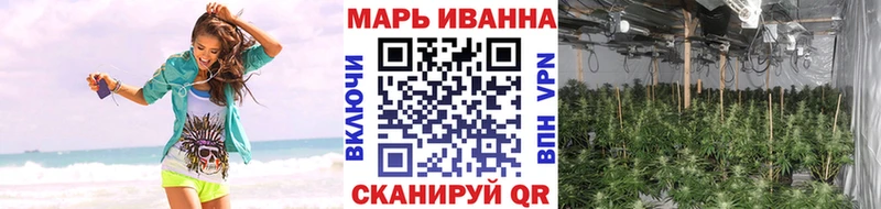 Каннабис Bruce Banner  Купить закладки  Егорьевск 